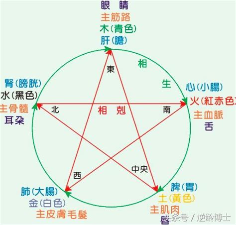 思 五行屬性|思的五行：顛覆認知